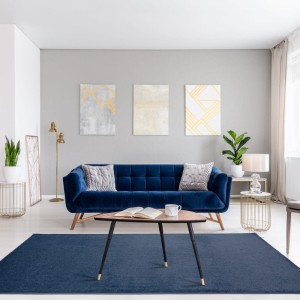 σαλόνι με τη μοκέτα barbados 182 τοποθετημένη στο κέντρο συνδυασμένη με μπλε καναπέ