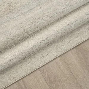 carpet Color: Beige, ecru, off-white, grey