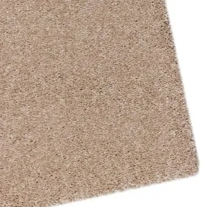 CARPET HISTORY BEIGE 03