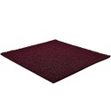 wine red 12mm plastic outdoor mat for professional use with a curly texture