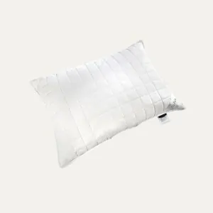 20% goose down and 80% feather sleeping pillow quilted and white