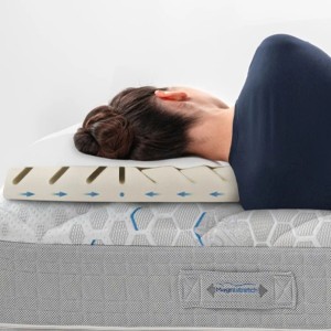 MAGNISTRETCH MEMOFORM ANATOMIC PILLOW