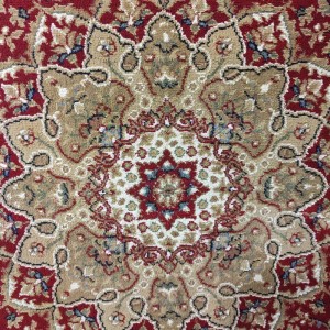 CLASSIC DURABLE CARPET OFFER Orian series 012 with central red pattern