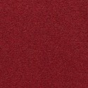 PROFESSIONAL CARPET CONGRESS RED 13