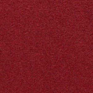 PROFESSIONAL CARPET CONGRESS RED 13