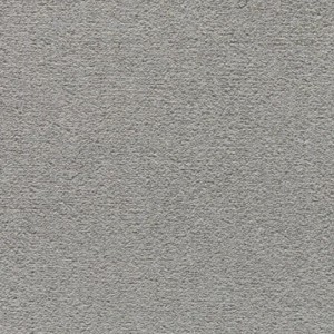 PROFESSIONAL CARPET CONGRESS LIGHT GREY 85