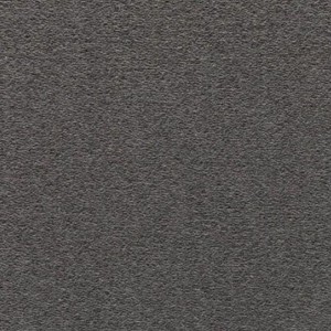 CARPET CONGRESS GREY 90 PROFESSIONAL USE