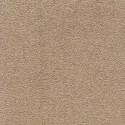 PROFESSIONAL CARPET CONGRESS BEIGE 38