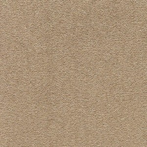 PROFESSIONAL CARPET CONGRESS BEIGE 38