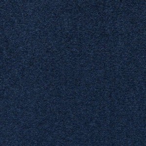 PROFESSIONAL CARPET CONGRESS BLUE 278