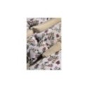 ΣΕΤ ΣΕΝΤΟΝΙΑ BEIGE FLOWER 868