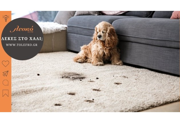 Πως καθαρίζω λεκέδες από χαλί;
